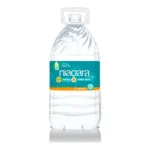 NIAGARA NATURAL SPRING WATER 1GL