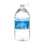 NIAGARA PURIFIED DRINKING WATER 1GL