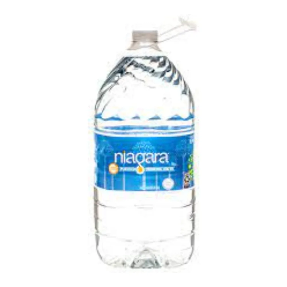 027541000481 NIAGARA PURIFIED DRINKING WATER 1GL - Image 1