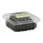 BLACKBERRIES ORGANIC 6Z