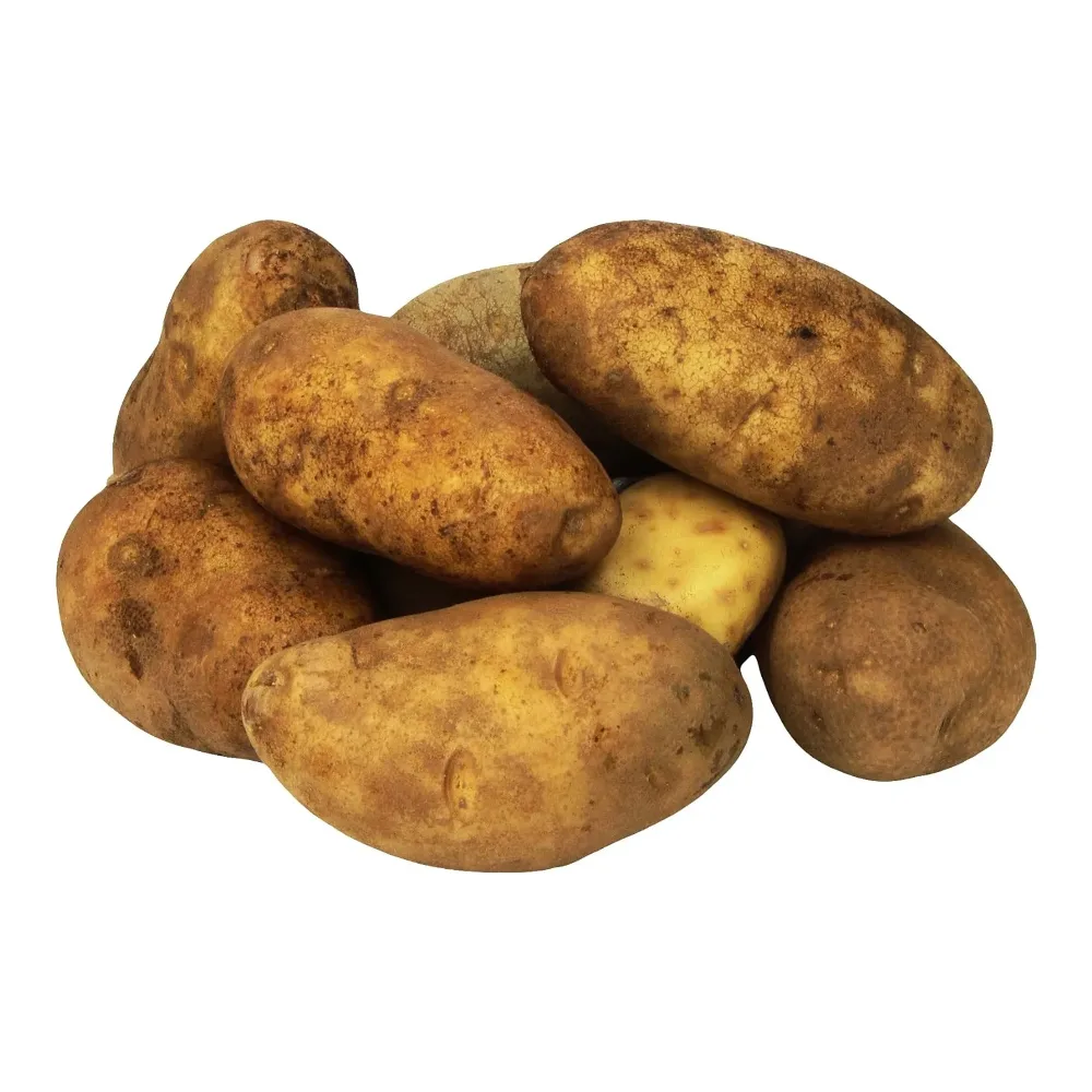 033383530505 IDAHO POTATOES 10LB - Image 1