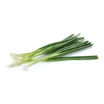 ORGANIC GREEN ONIONS