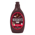 HERSHEYS ORIG CHOC SYRUP 24Z