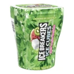 ICE BREAKERS CUBES KIWI WATERMELON CT