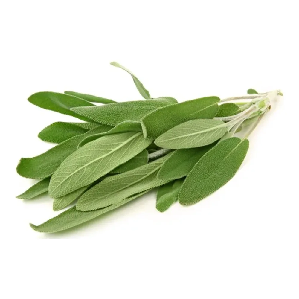 035377123137 HERBS - FRESH SAGE LEAVES - Image 1
