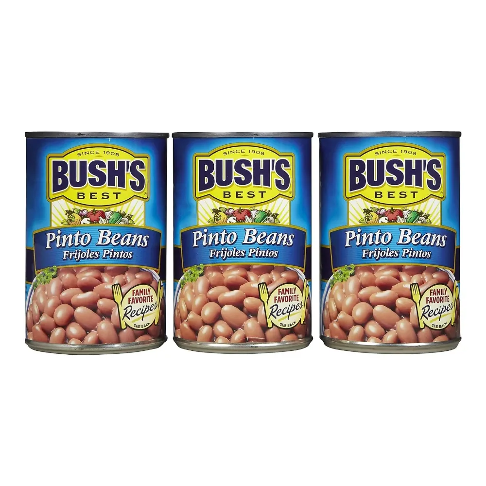 039400018100 BUSHS PINTO BEANS 16Z - Image 1