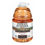 INDIAN SUMMER APPLE JUICE 1GL