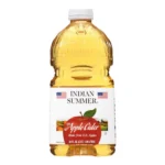 INDIAN SUMMER APPLE JUICE 64Z