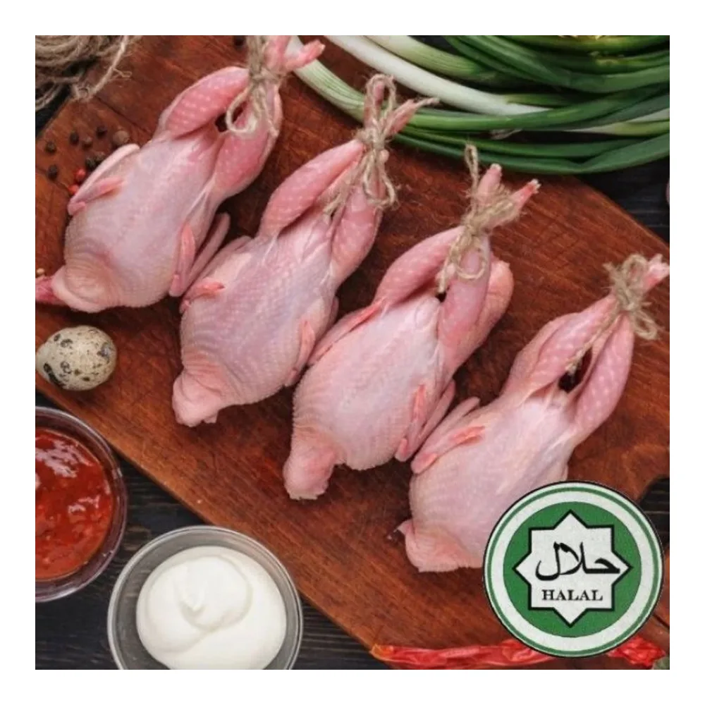 045142126164 ALL NATURAL QUAIL/GUILOTA 6PK - Image 1