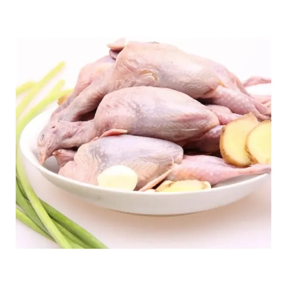 045142600312 PLANTATION QUAIL/GUILOTA 6PK - Image 1