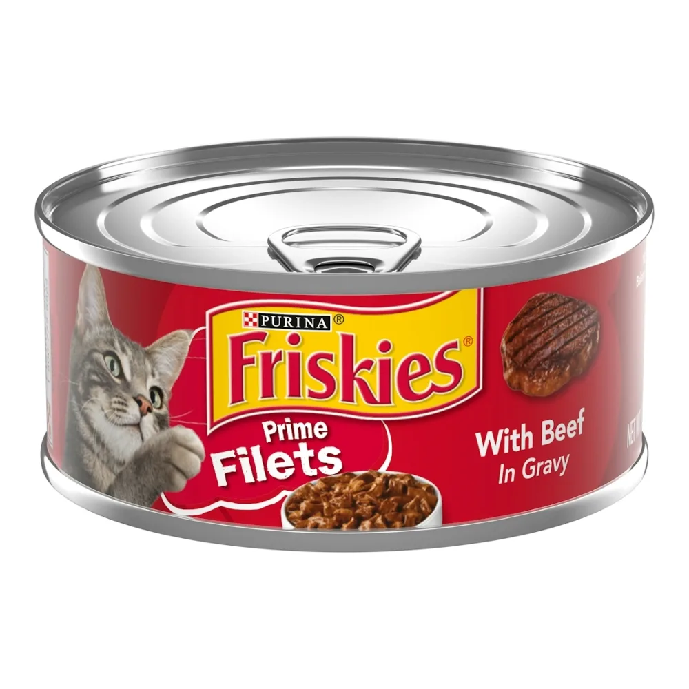 050000215201 FRISKIES FILETS BEEF & GRAVY 5Z - Image 1