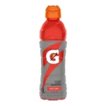 GATORADE FRUIT PUNCH 24Z