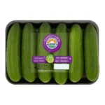 PERSIAN MINI CUCUMBERS