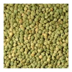 DUNYA HARV FRENCH GREEEN LENTILS 20Z