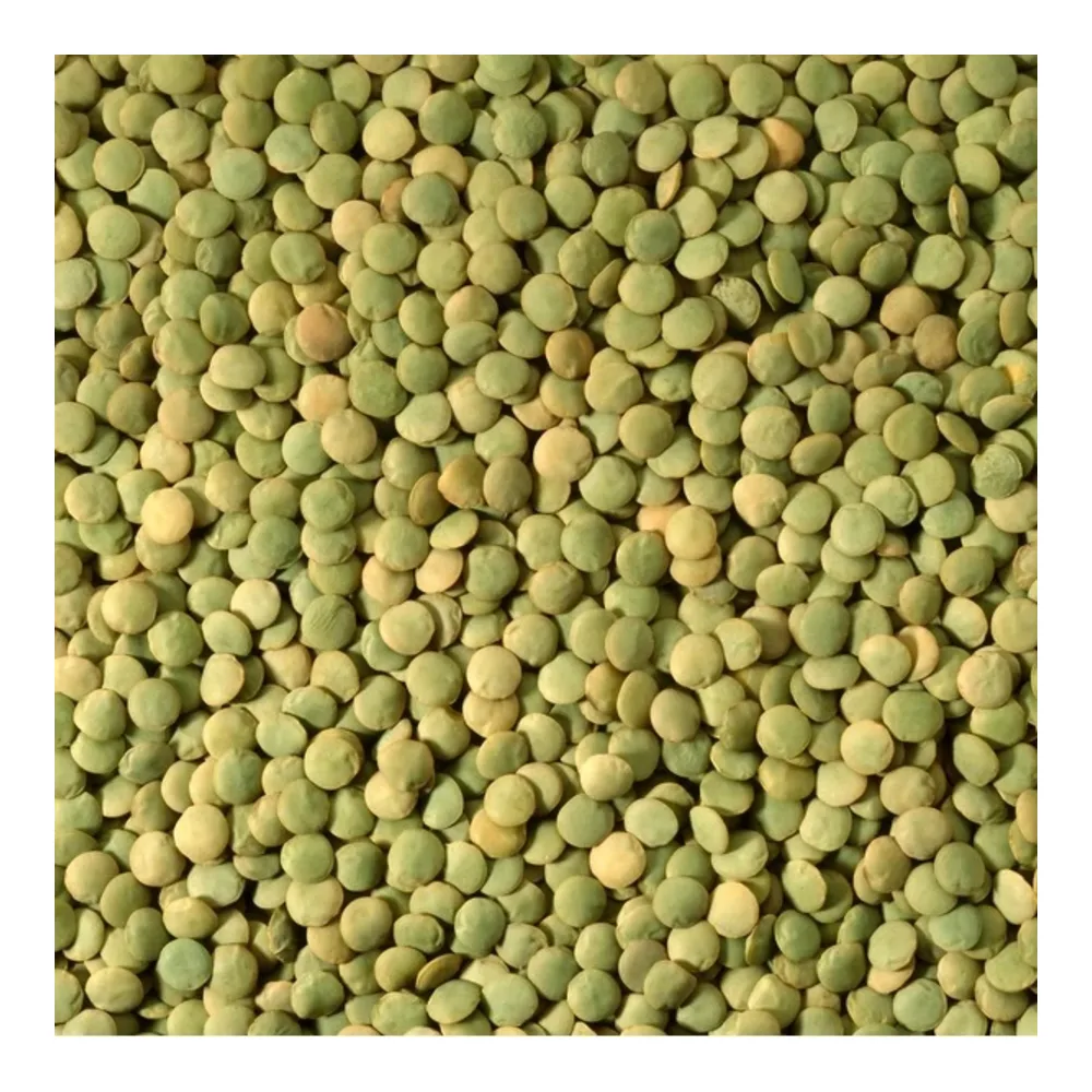 066844503633 DUNYA HARV FRENCH GREEEN LENTILS 20Z - Image 1