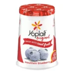YOPLAIT BLUEBERRY YOGURT 6Z