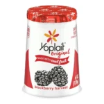 YOPLAIT BLACKBERRY YOGURT 6Z