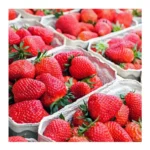 STRAWBERRIES / FRESAS DOLE 16Z