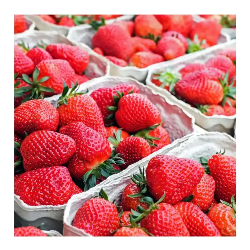 071430007525 STRAWBERRIES / FRESAS DOLE 16Z - Image 1