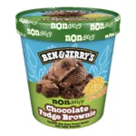 BEN & JERRYS CHOC FDG BRNIE 1PT