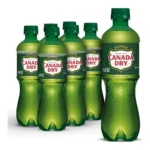 CANADA DRY GINGER ALE 16.9Z/6PK