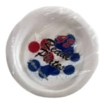 READI FOAM 10-1/4" PLATES 48CT