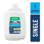 ICE MOUNTAIN SPRING WATER 1GL
