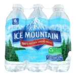 ICE MOUNTAIN SPRING WTR 16.9/6PK