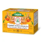 TADIN TE TURMERIC MANGO GINGER 24CT