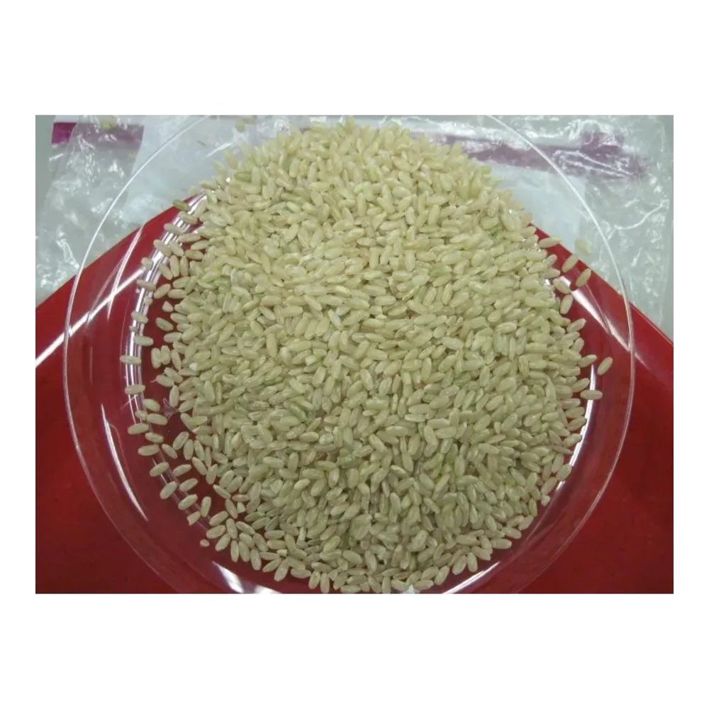 089067025638 LUCKY LONG GRAIN RICE 50LB - Image 1