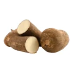 YAMPI ROOT