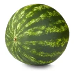 MINI PERSONAL WATERMELON