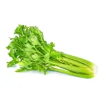 CELERY BUNCH