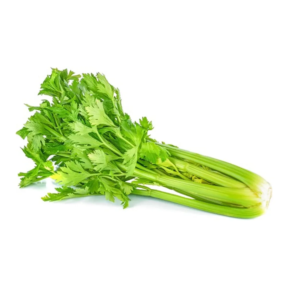 4071 CELERY BUNCH - Image 1