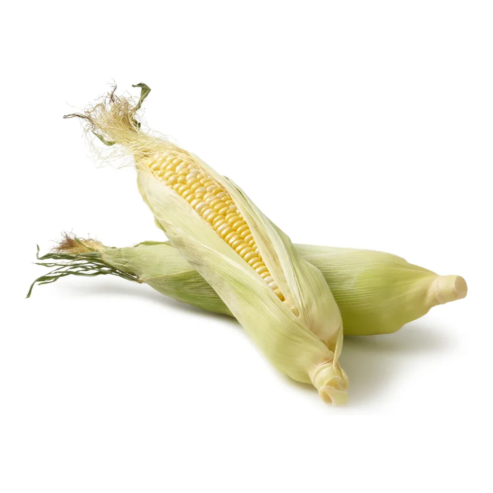 4078 FRESH CORN / ELOTE ********* - Image 1