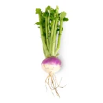FRESH TURNIPS