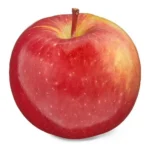 FUJI APPLE BAGS/BY LB.