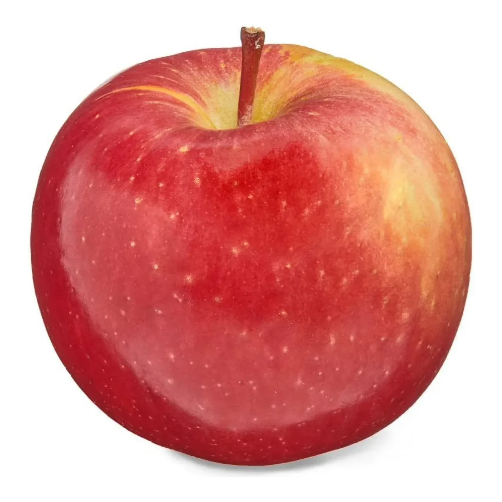 4129 FUJI APPLE BAGS/BY LB. - Image 1