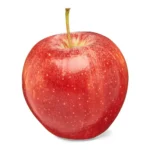 GALA APPLES LARGE