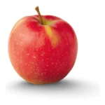 JONAGOLD APPLE