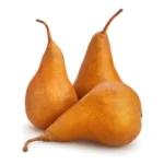 BROWN PEAR / BOSC PEAR LRG