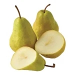 GREEN PEAR / DANJOU PEAR LRG