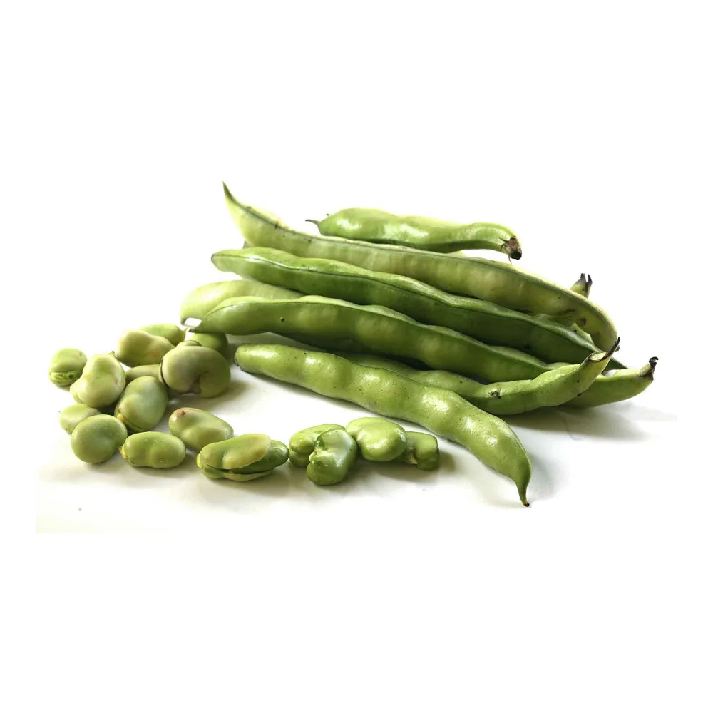 4528 FRESH FAVA BEANS - HABAS FRESCAS - Image 1