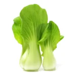 FRESH BOCK CHOY