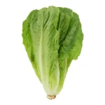 ROMAINE LETTUCE