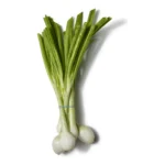 LARGE KNOB ONIONS