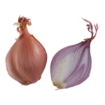 WHOLE FRESH SHALLOTS