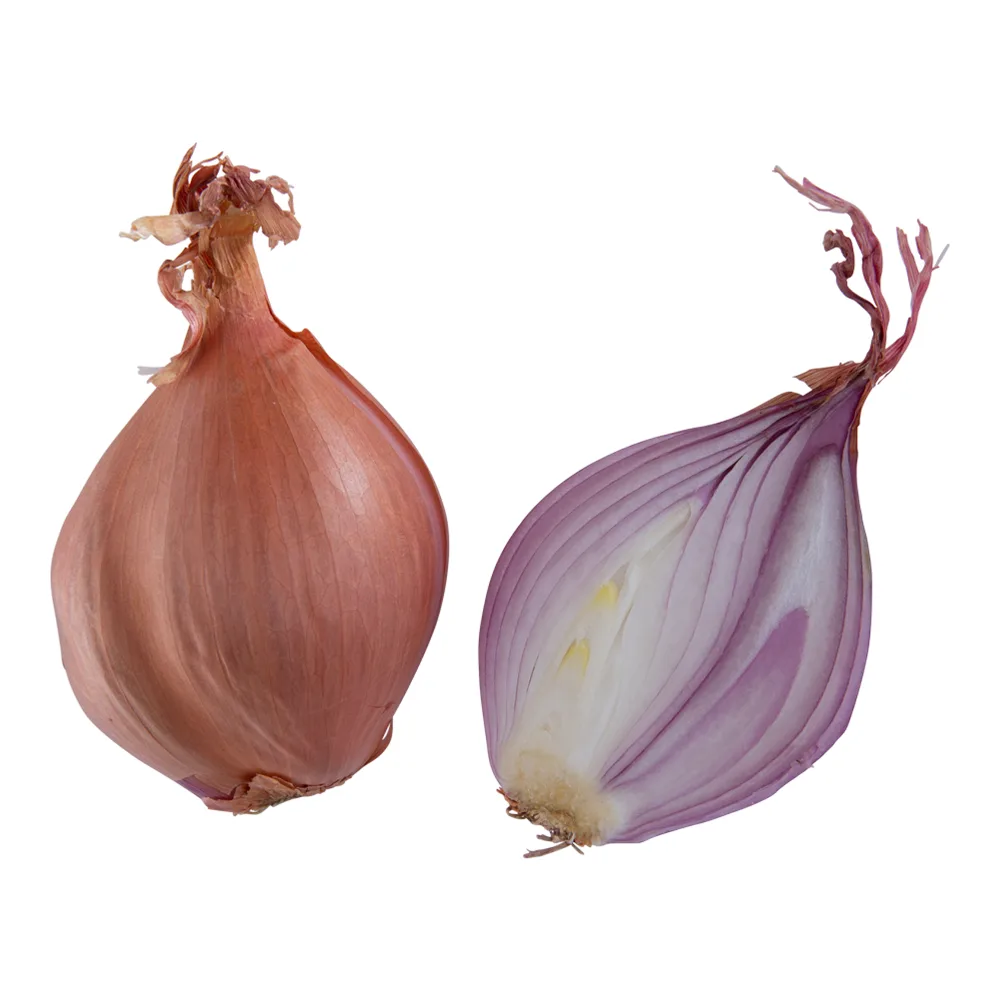 4662 WHOLE FRESH SHALLOTS - Image 1