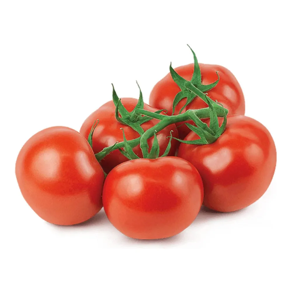 4664 TOMATOES ON THE VINE TOV - Image 1