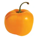 CHILE MANZANO PEPPERS-CHILE PERON